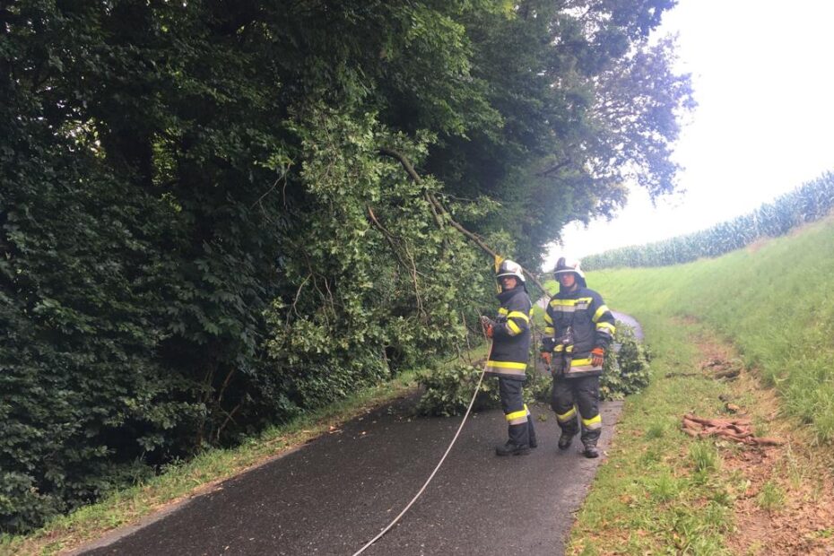 Stiller Einsatz