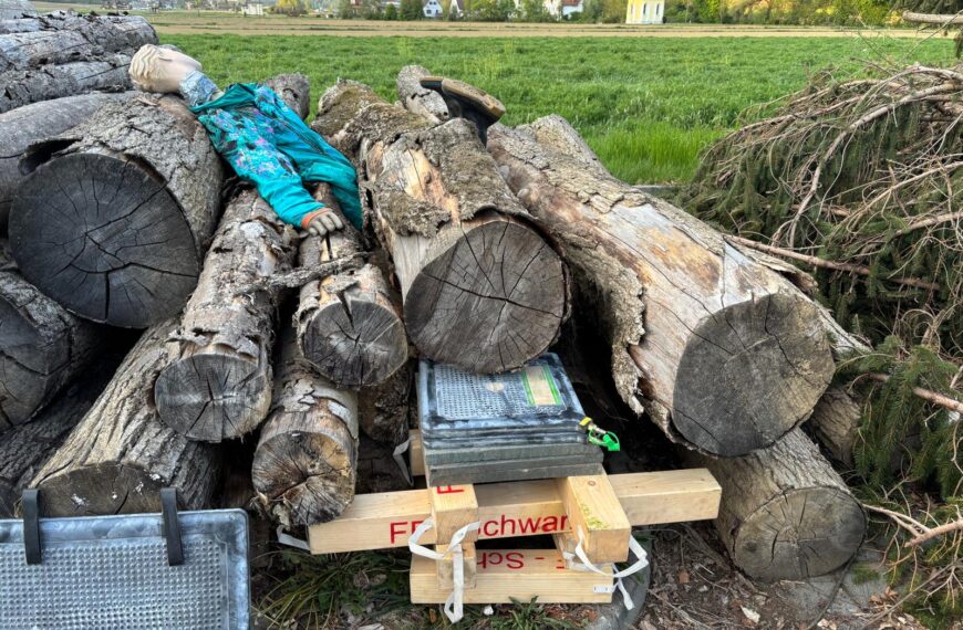 Übungsannahme Forstunfall