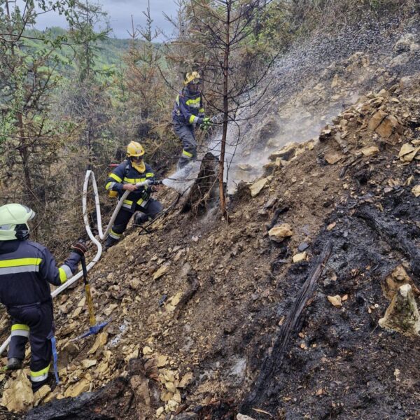 Waldbrand in GU