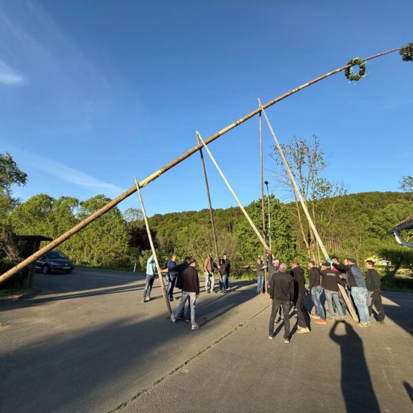 Maibaum aufstellen
